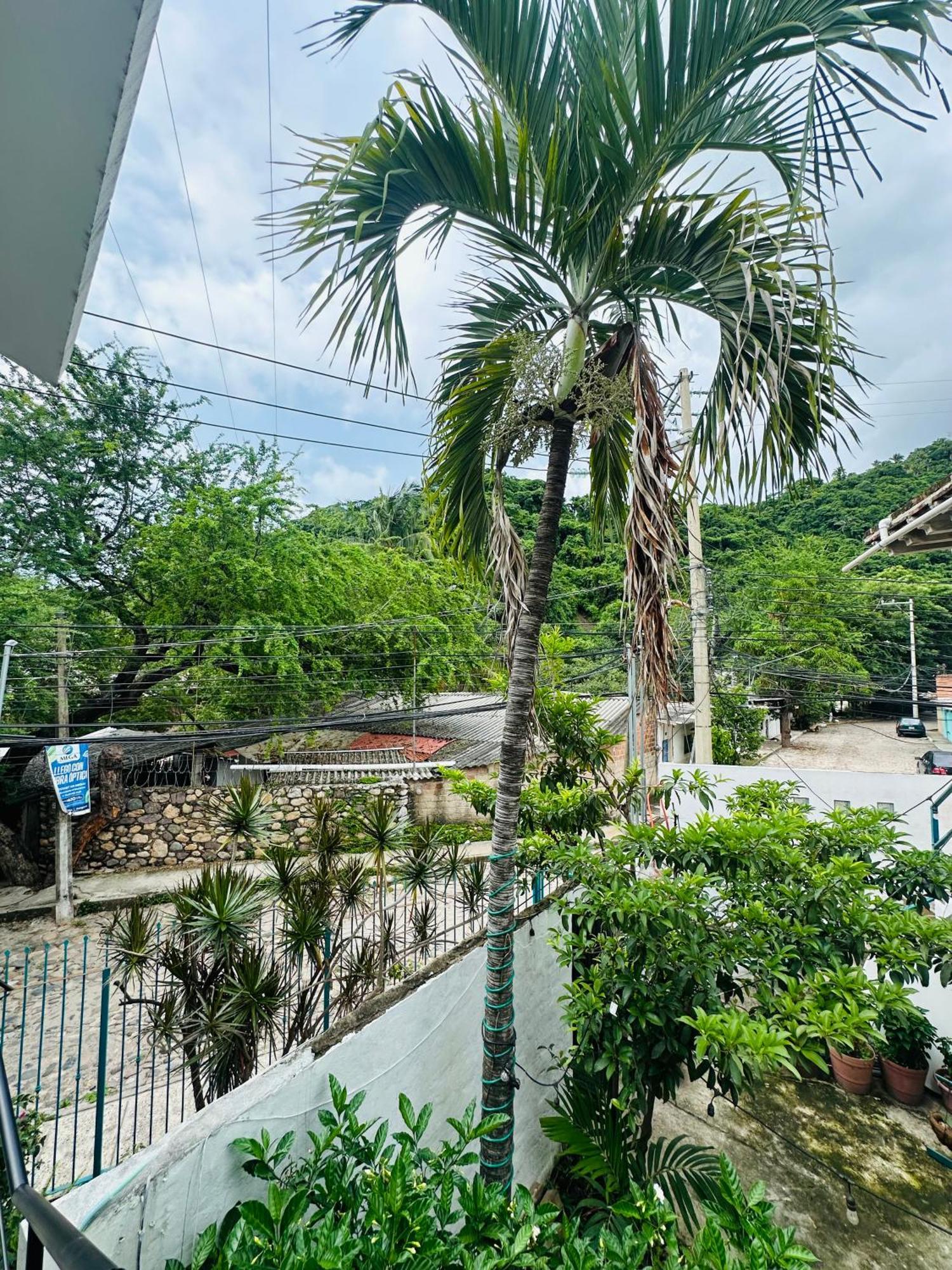 Loft Rio Leilighet Puerto Vallarta Eksteriør bilde