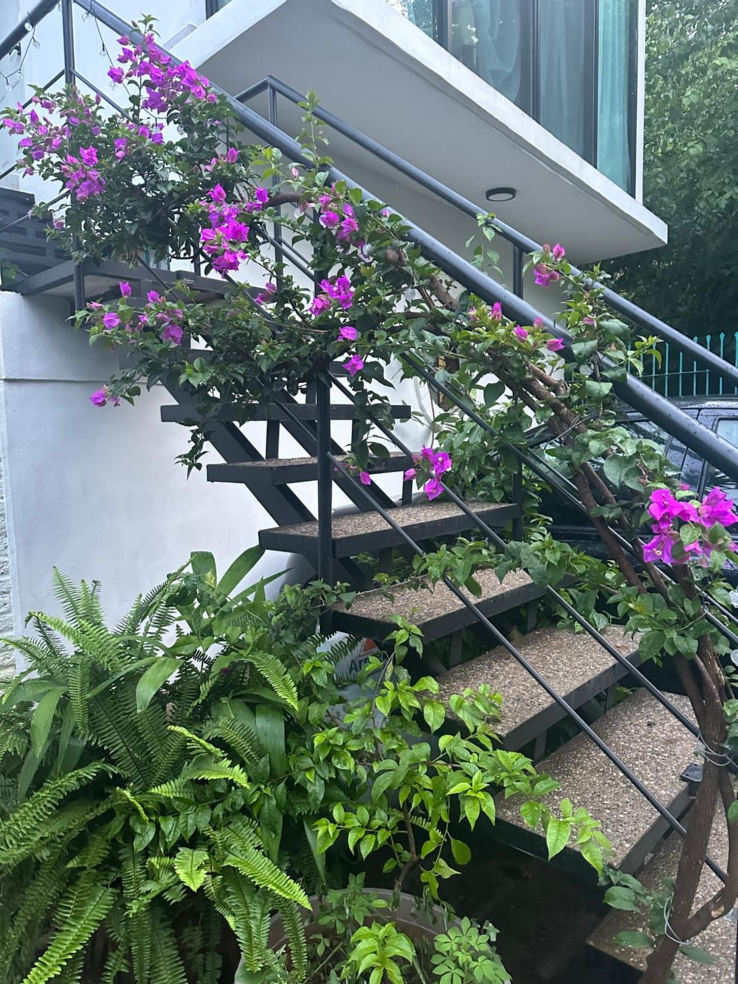 Loft Rio Leilighet Puerto Vallarta Eksteriør bilde